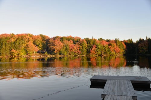 Herbst2016 (15)